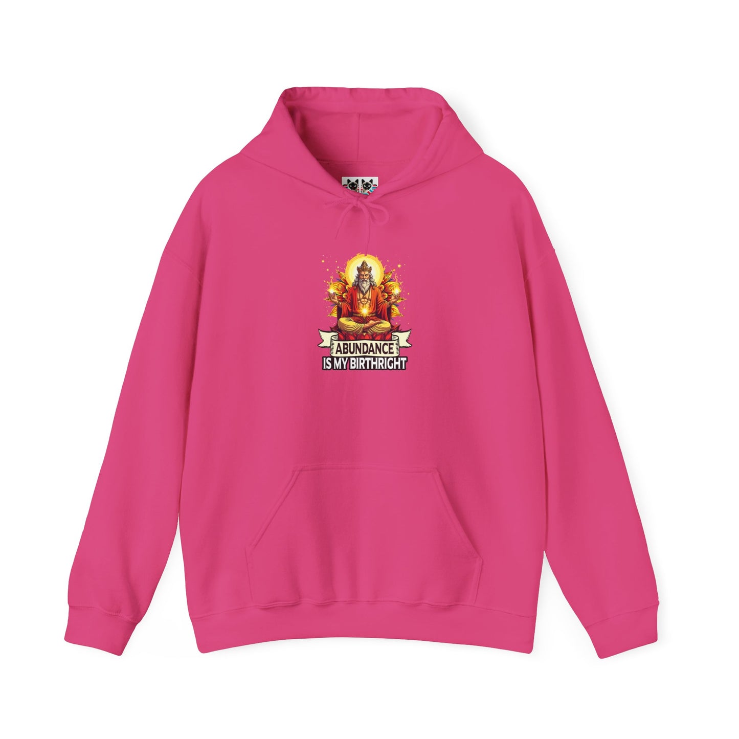 Abundance Is My Birthright - Spiritual Wealth Hoodie