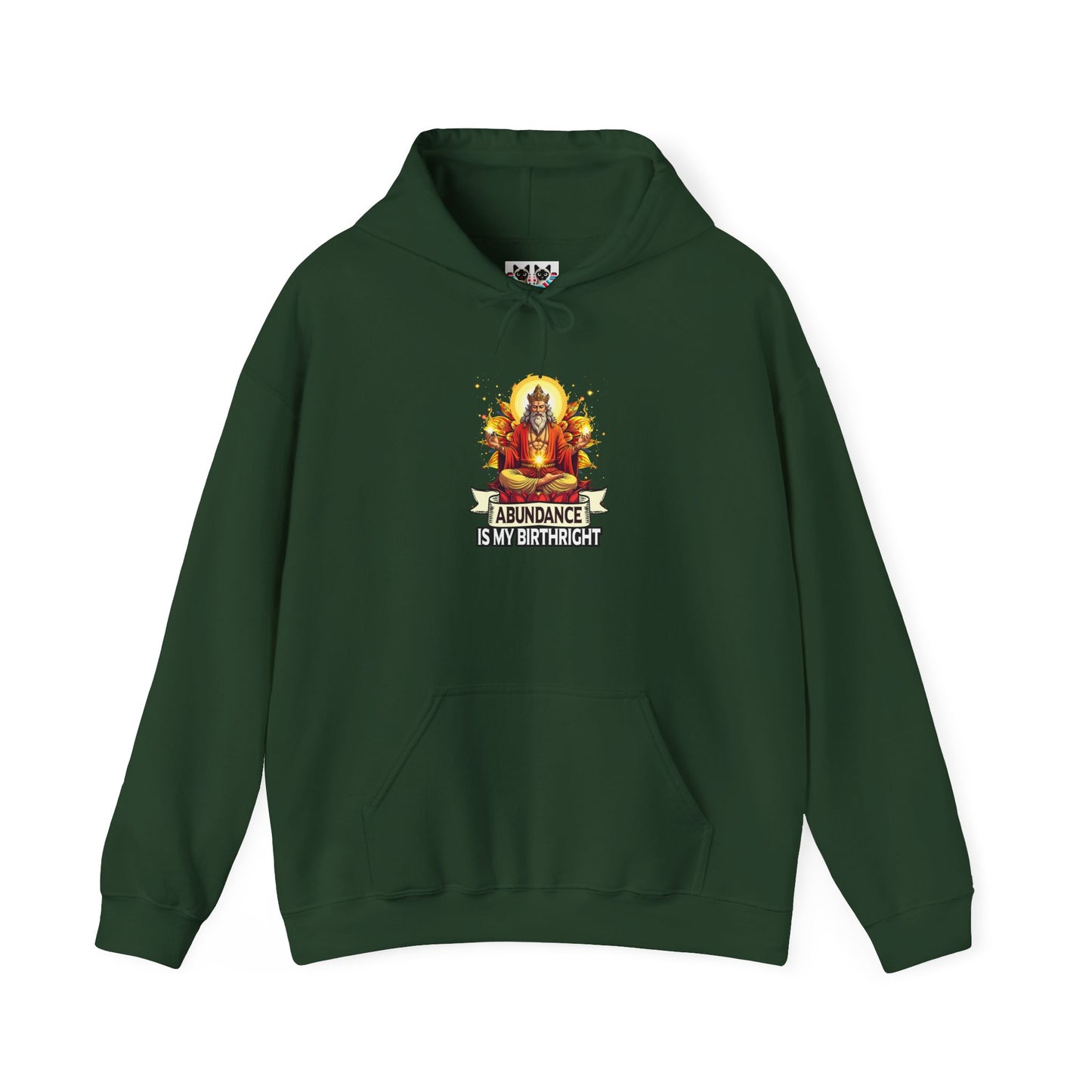 Abundance Is My Birthright - Spiritual Wealth Hoodie
