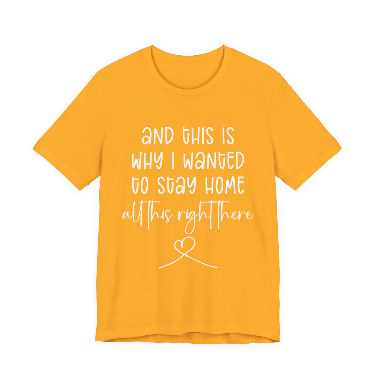This Is Why I Wanted to Stay Home T-Shirt – Cozy Introvert Heartfelt Graphic Tee