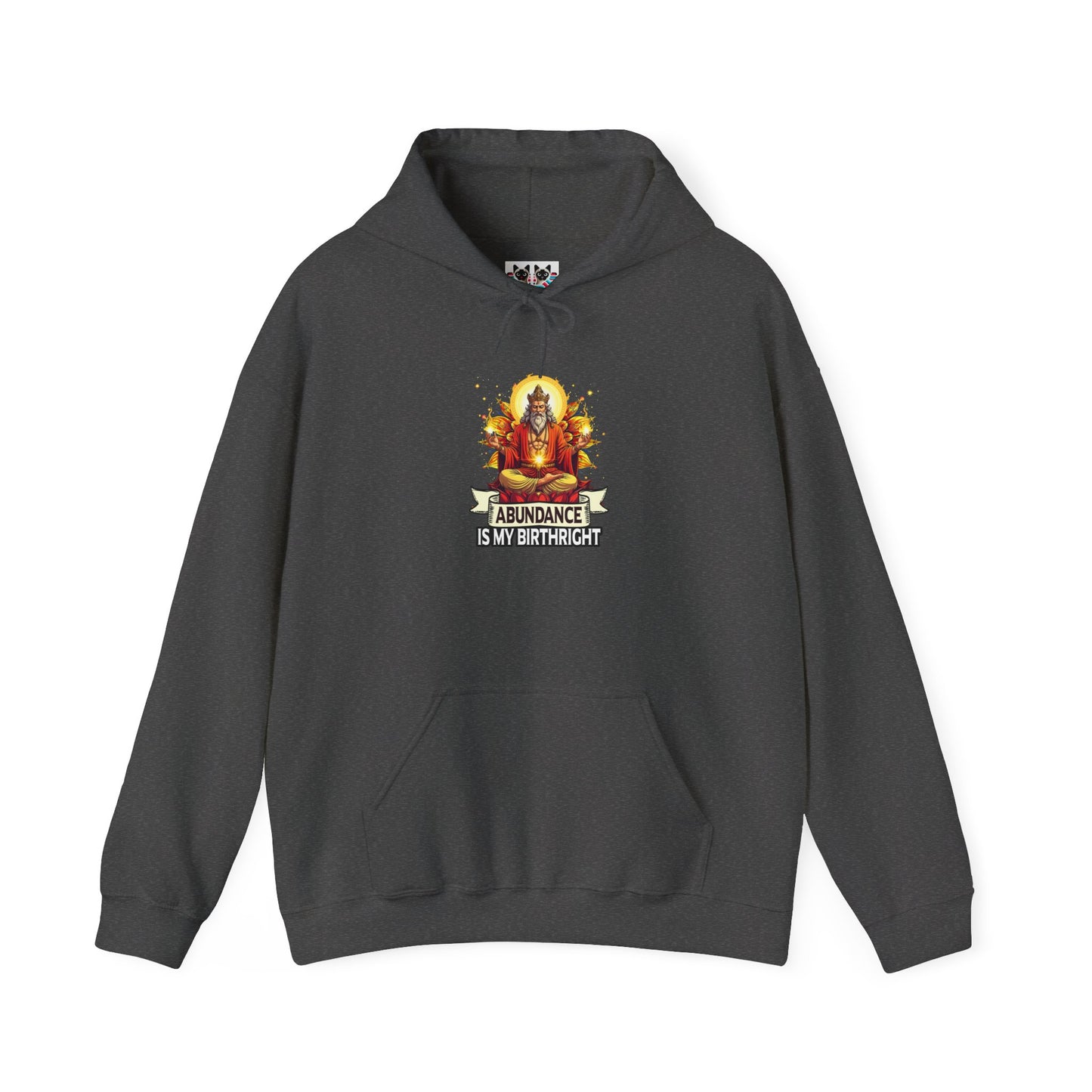 Abundance Is My Birthright - Spiritual Wealth Hoodie