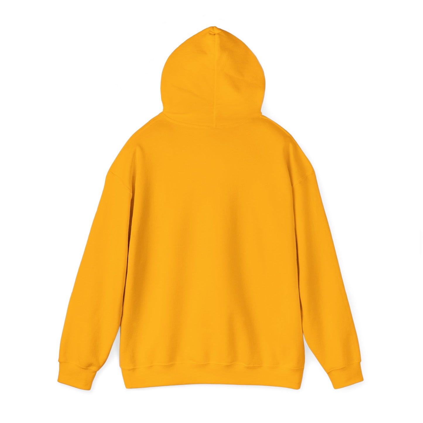 Abundance Mindset - Success Hoodie