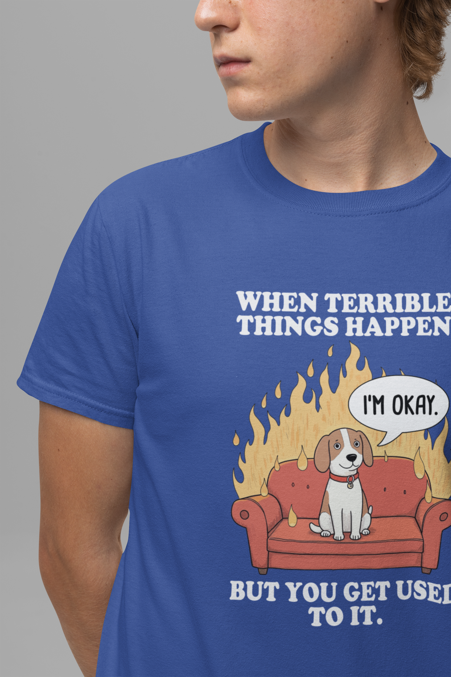 When Terrible Things Happen But You Get Used To It – Calm Dog on Burning Sofa Graphic T-Shirt