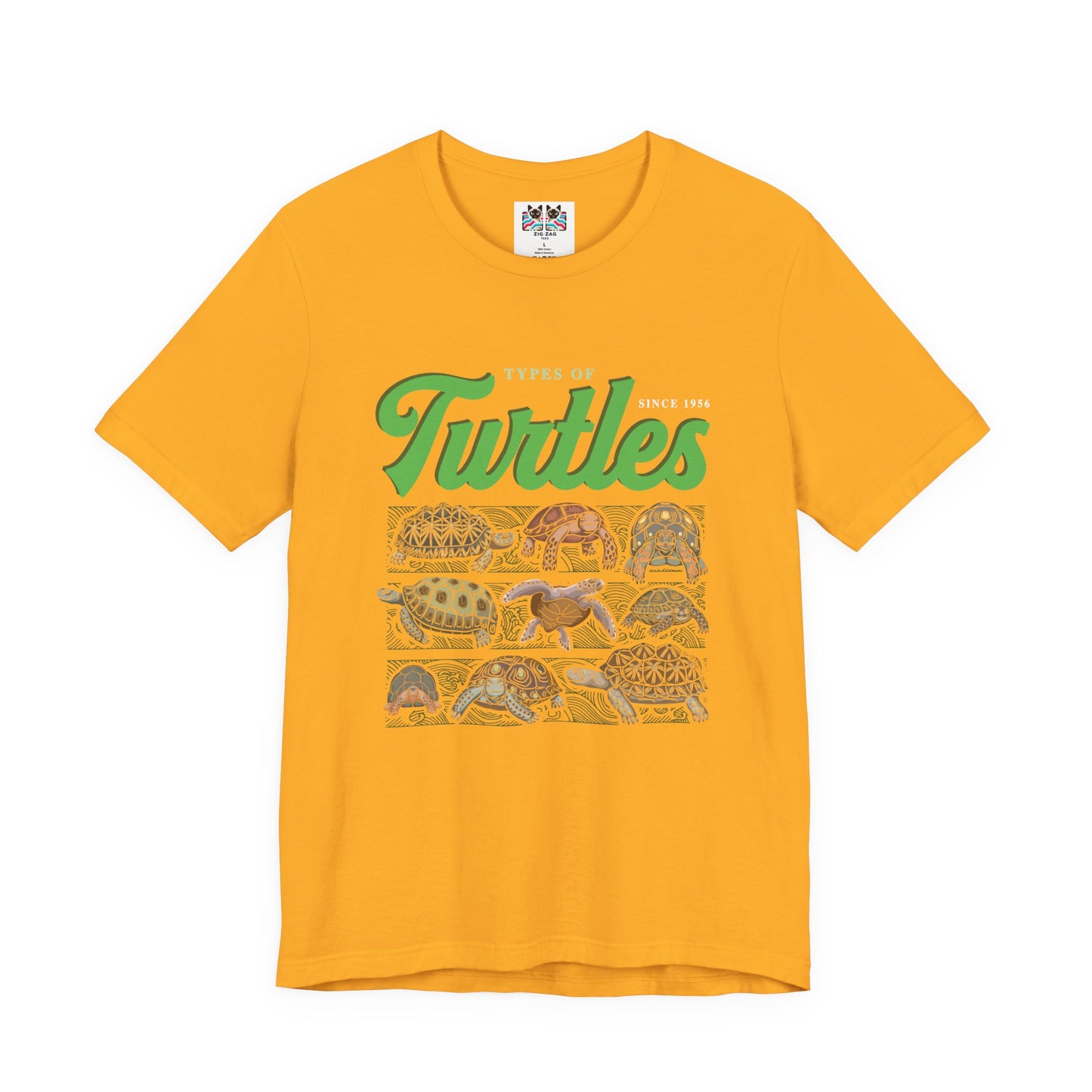 Types of Turtles Tshirt – Supreme Fashion