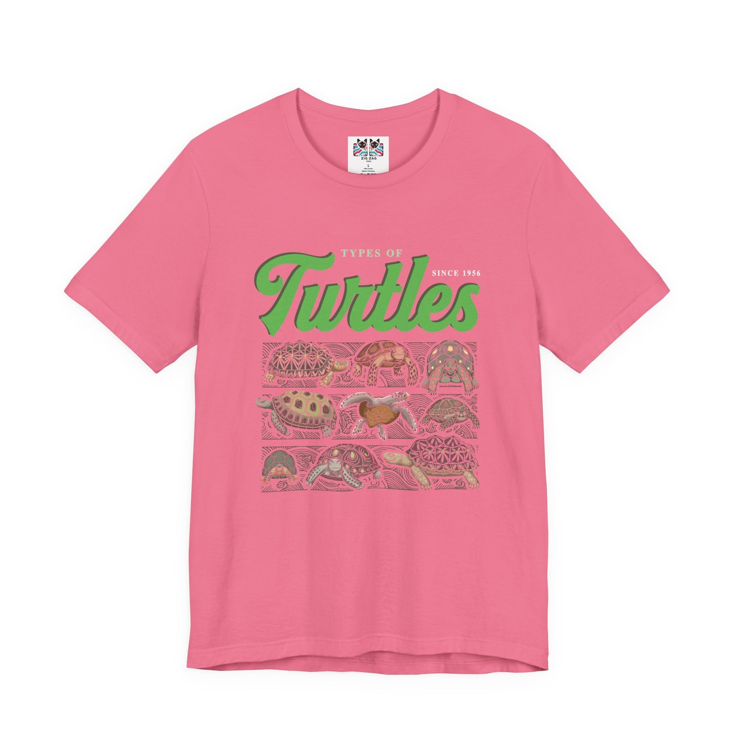 Types of Turtles Tshirt – Supreme Fashion