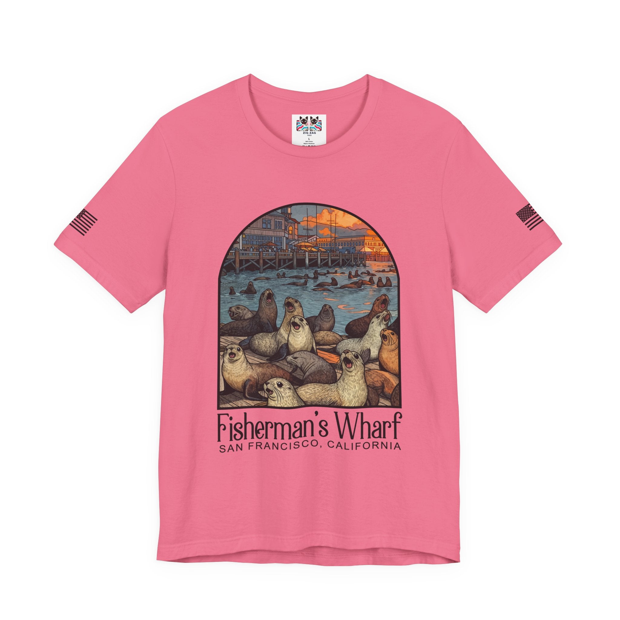 Fisherman's Wharf San Francisco California T-Shirt – Sea Lions Arched Graphic Tee