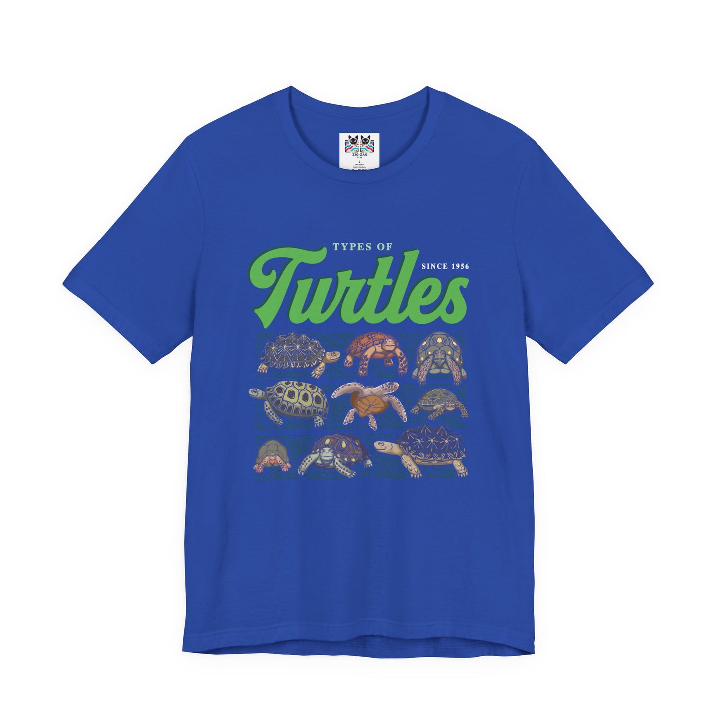 Types of Turtles Tshirt – Supreme Fashion