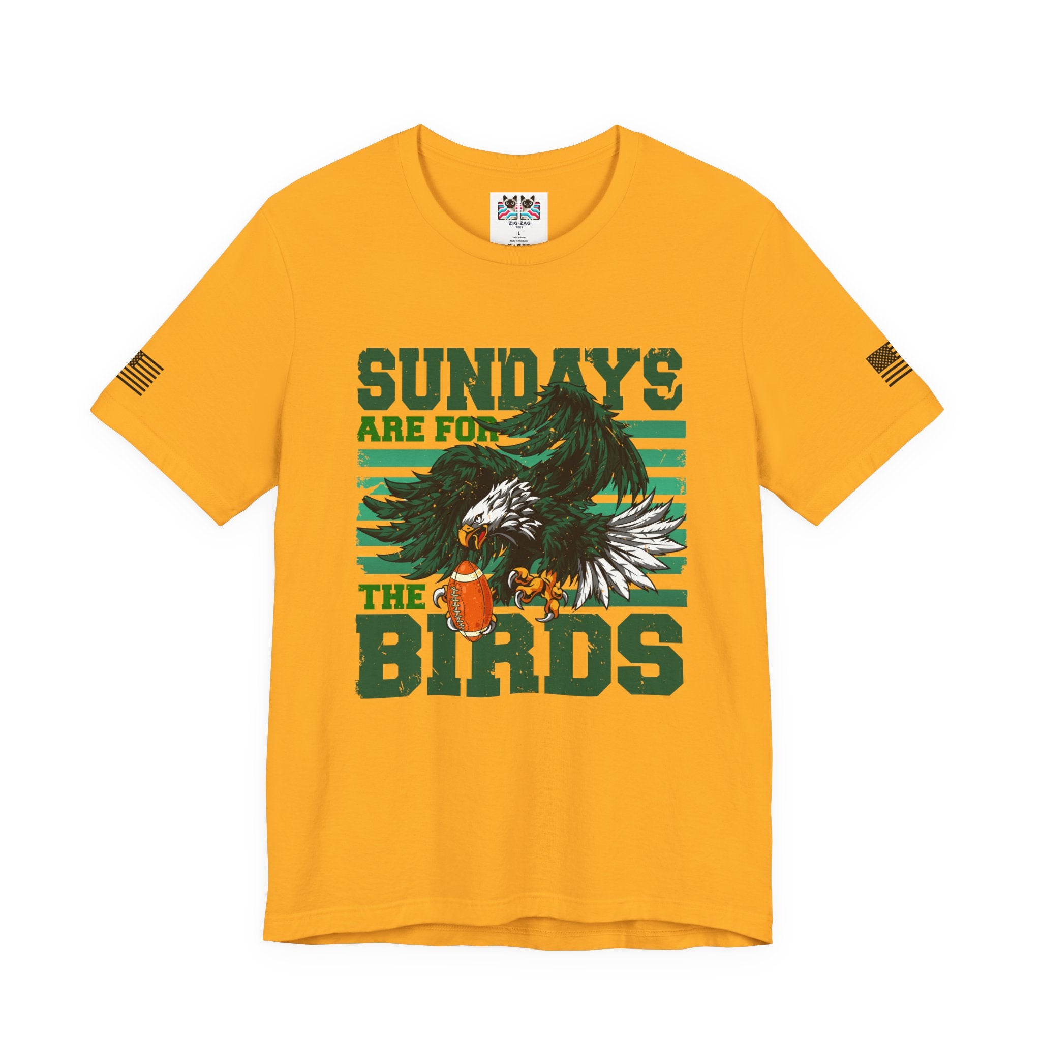 Sundays Are for the Birds T-Shirt – Fierce Diving Eagle Football Graphic Tee Philadelphia Fan