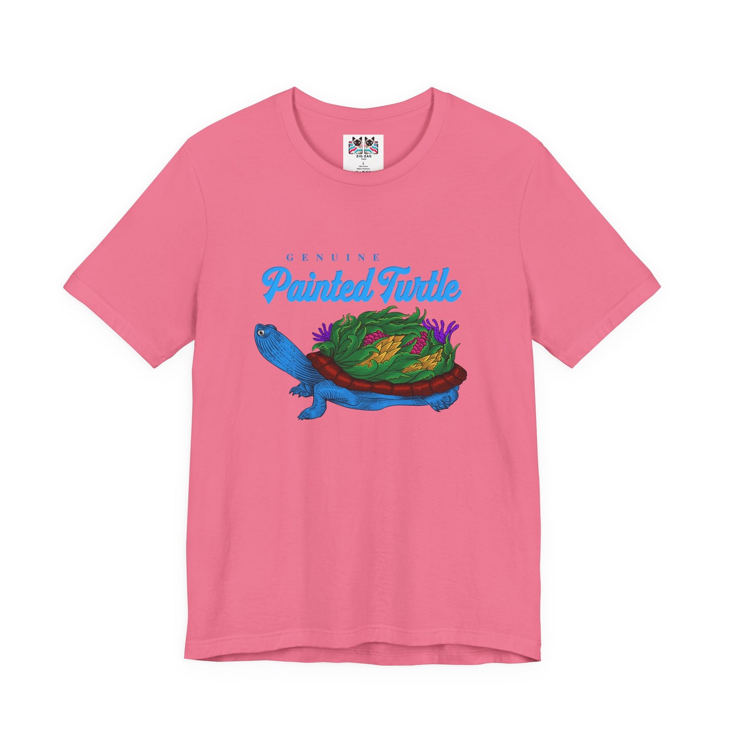 Painted Turtle Tshirt – The Beauty of Simplicity