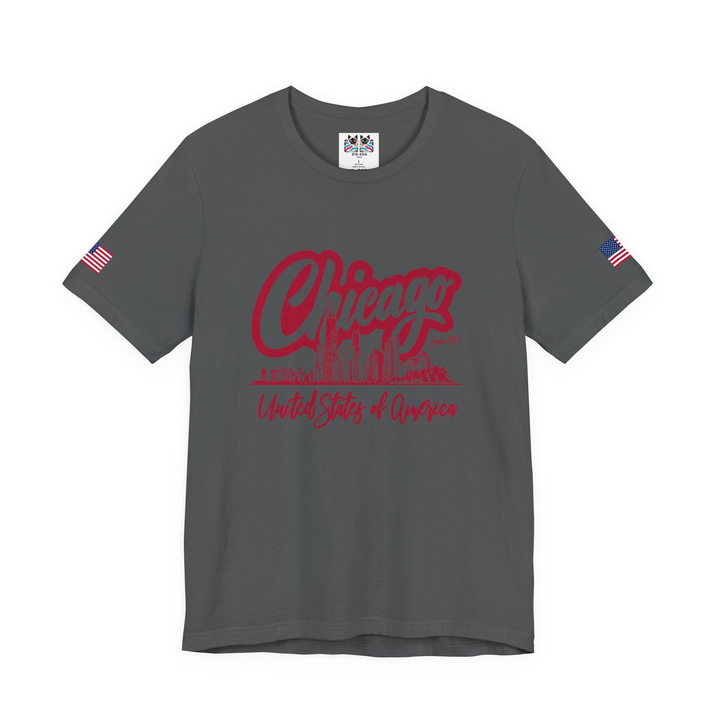 Chicago Since 1837 T-Shirt - Script Illinois United States of America Skyline