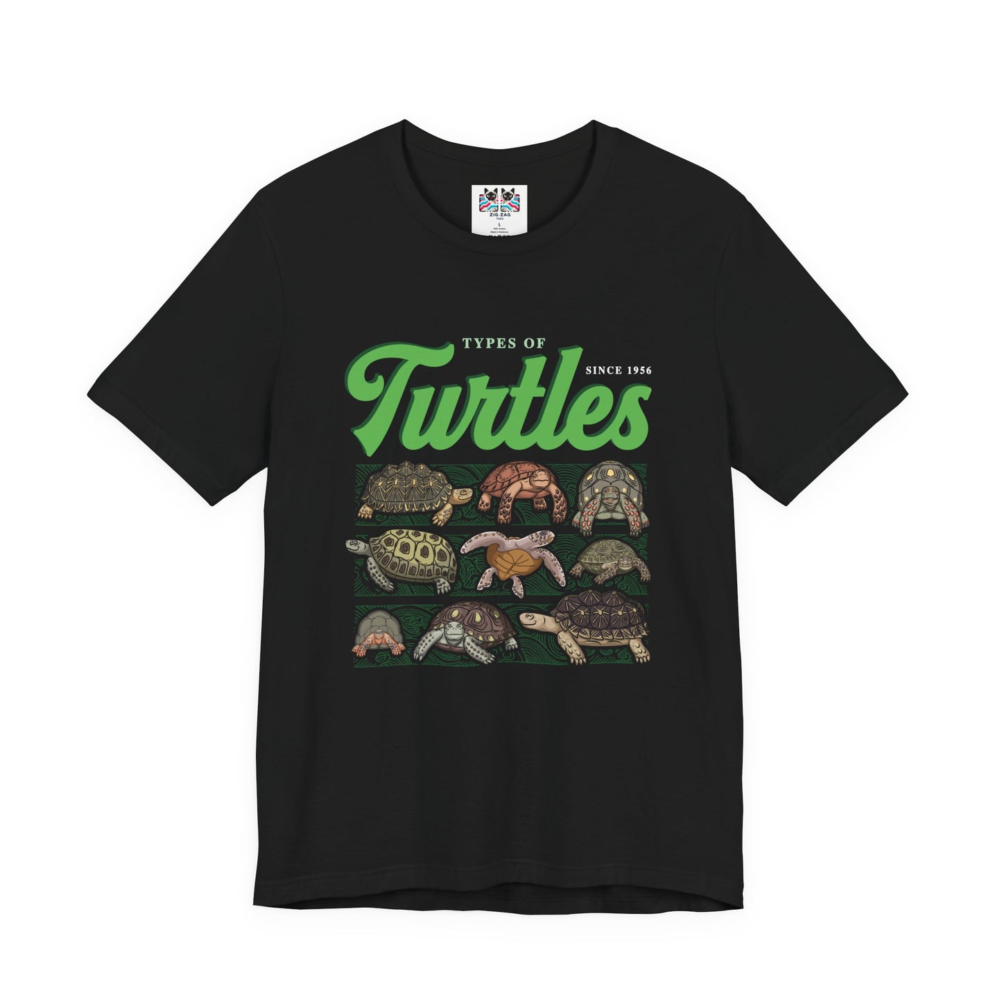 Types of Turtles Tshirt – Supreme Fashion