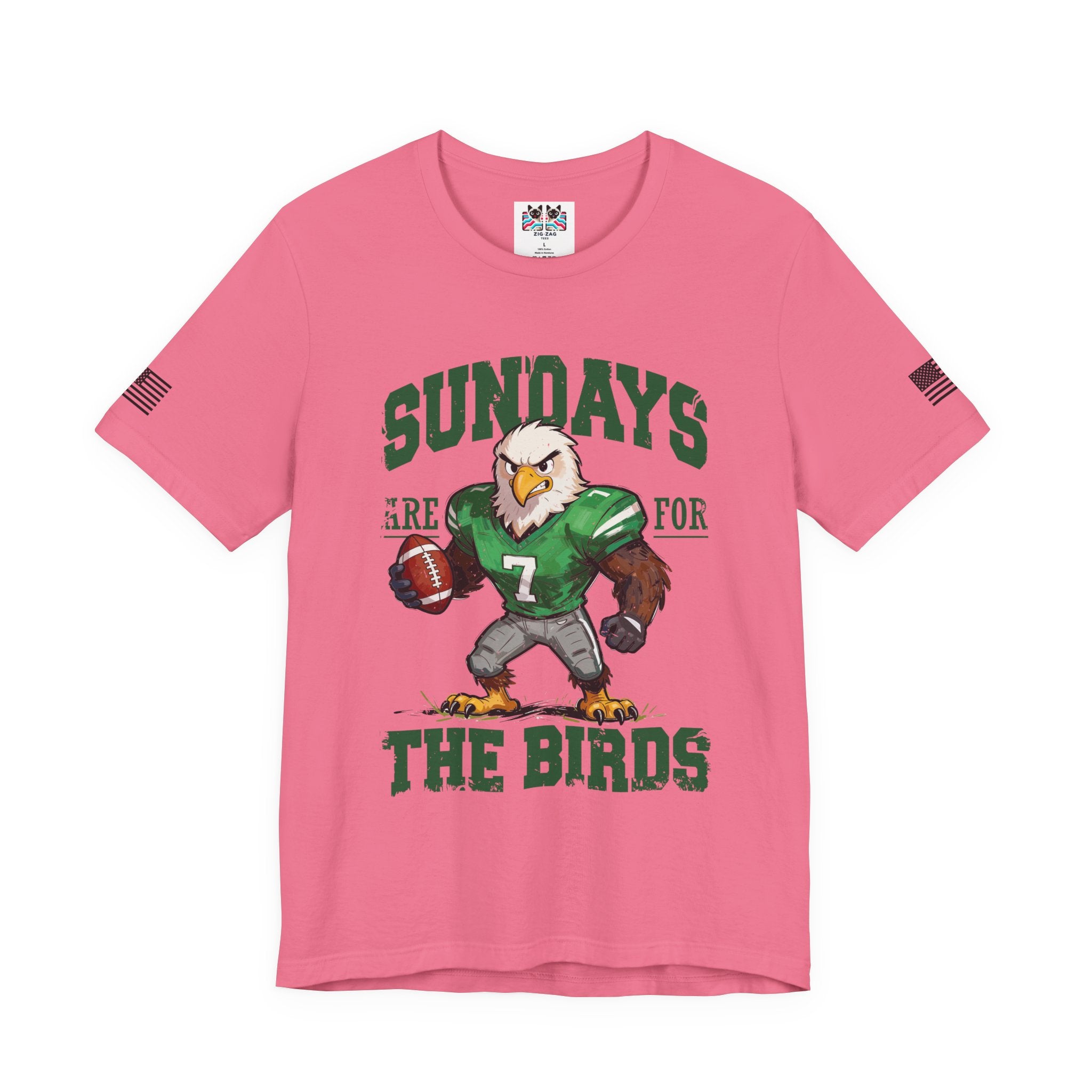 Sundays Are for the Birds T-Shirt – Eagle Football Mascot Cartoon Graphic Tee Philadelphia Fan