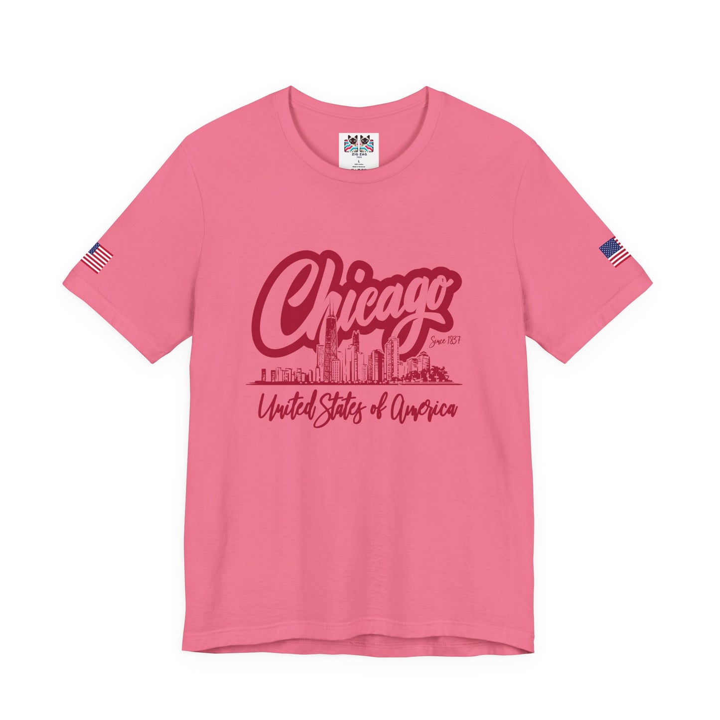 Chicago Since 1837 T-Shirt - Script Illinois United States of America Skyline