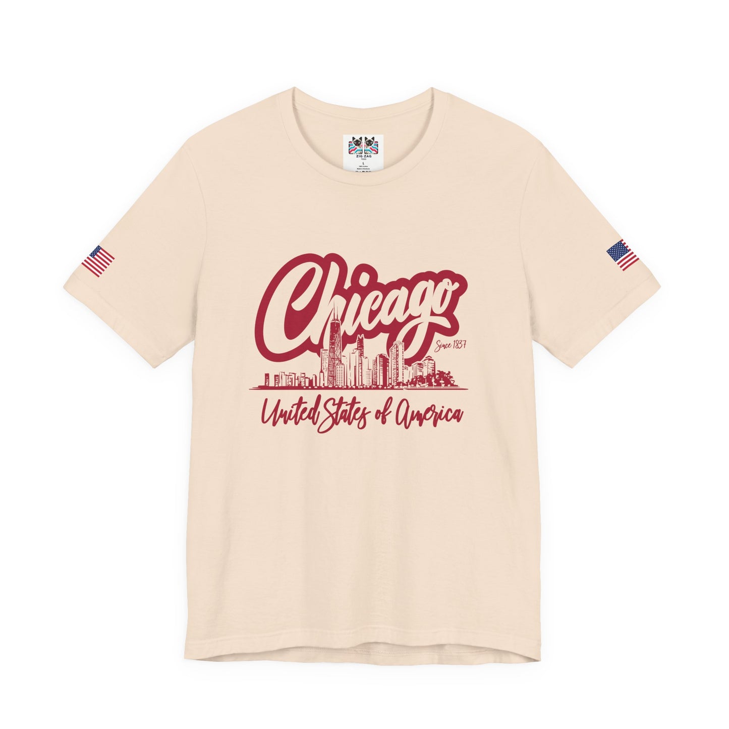 Chicago Since 1837 T-Shirt - Script Illinois United States of America Skyline