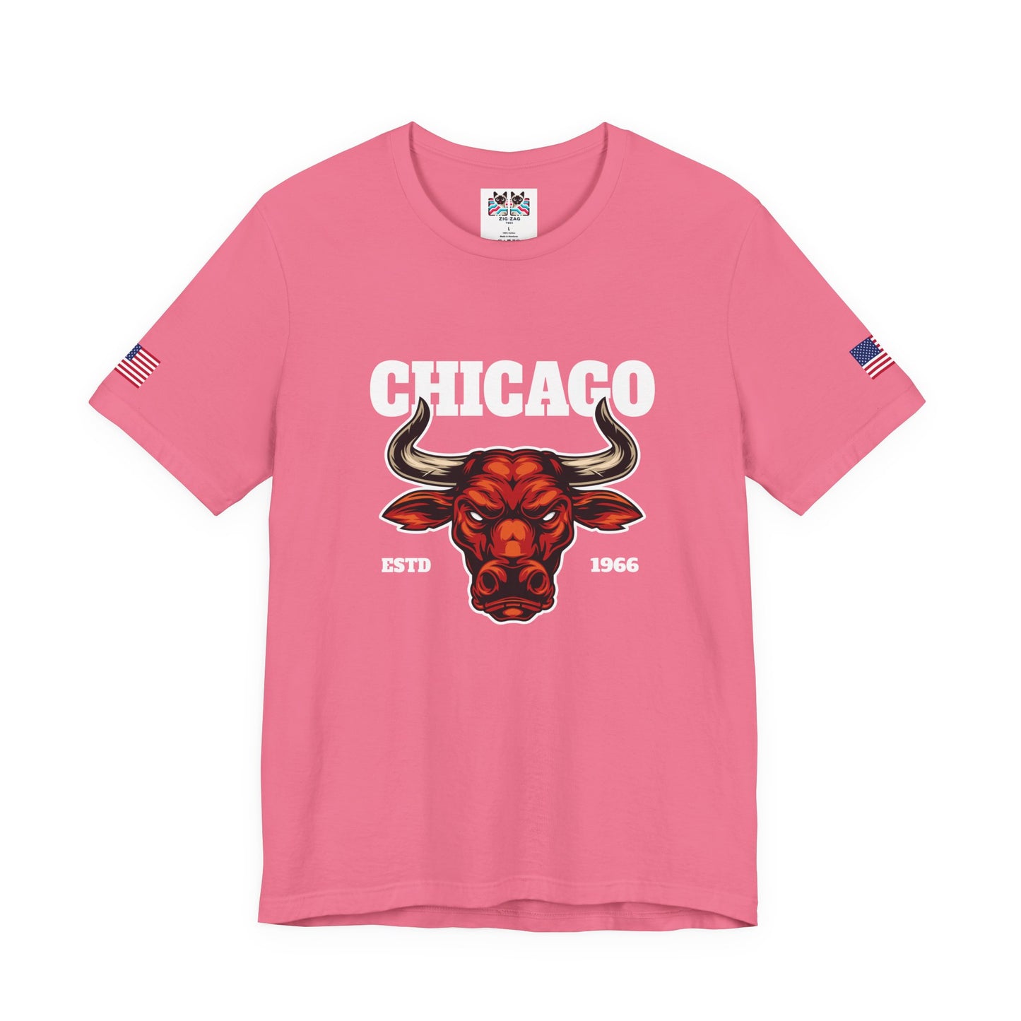 Chicago Bulls T-Shirt - Red Bull Mascot Est 1966 Sports Team Pride Design
