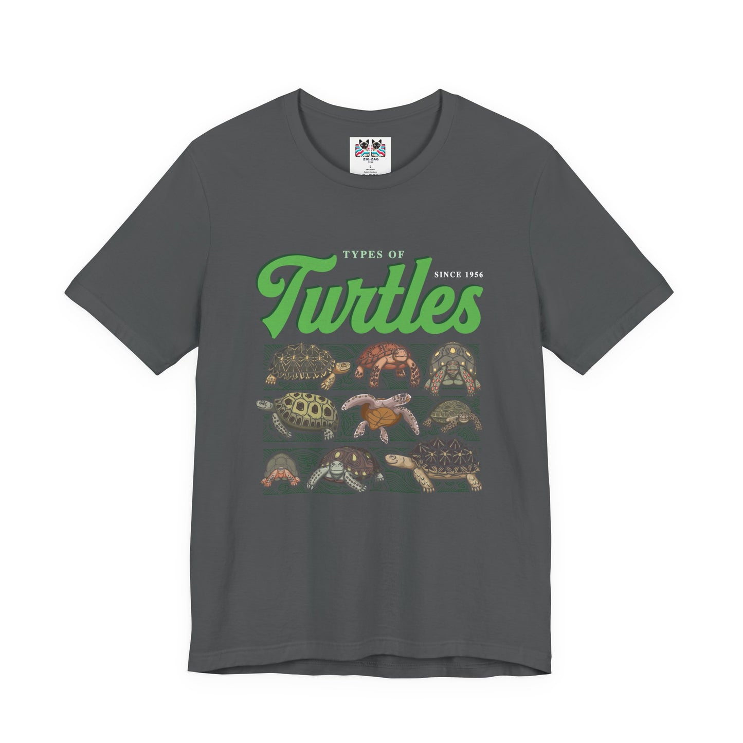 Types of Turtles Tshirt – Supreme Fashion