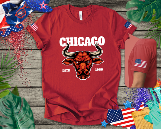 Chicago Bulls T-Shirt - Red Bull Mascot Est 1966 Sports Team Pride Design