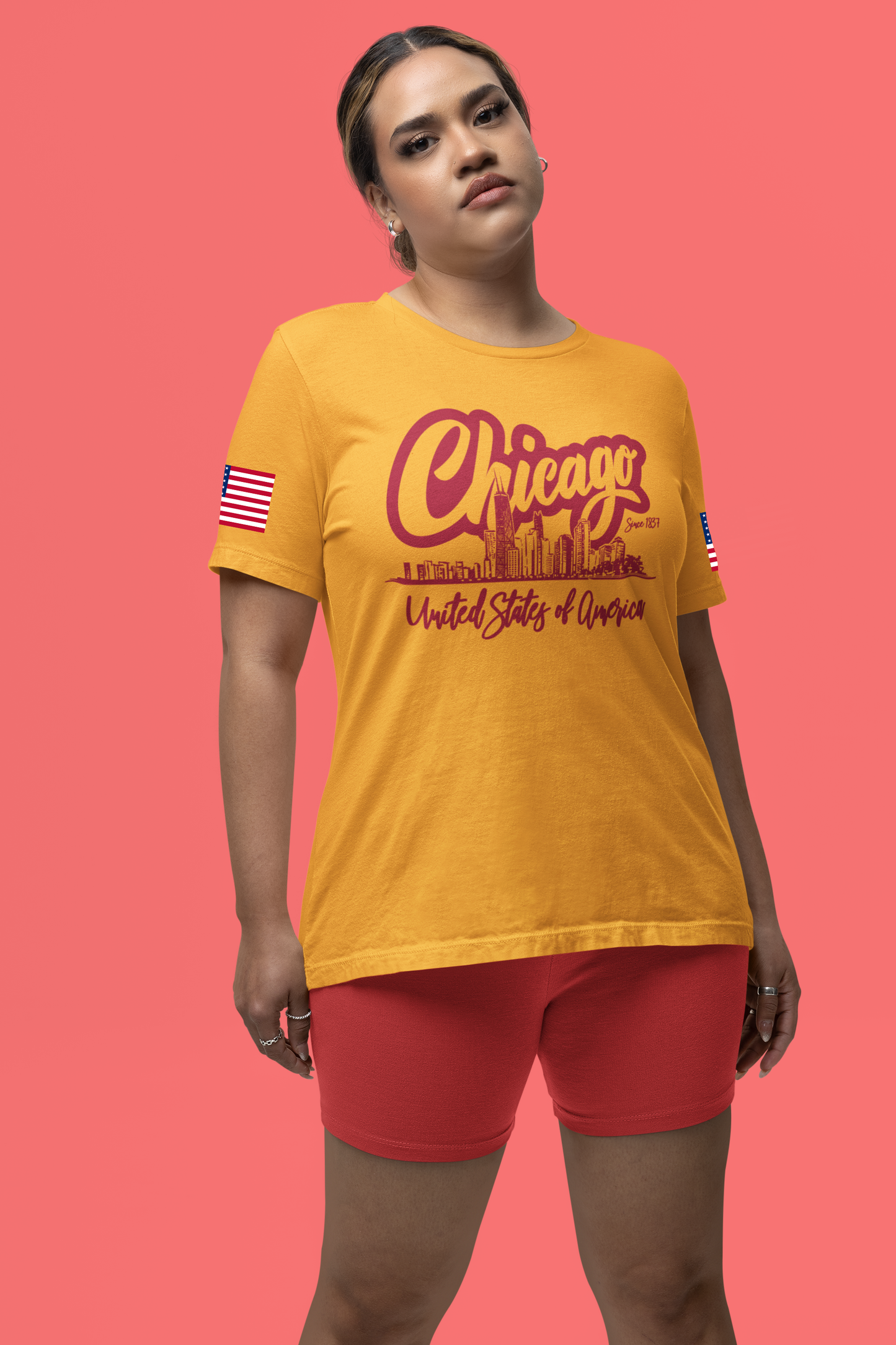 Chicago Since 1837 T-Shirt - Script Illinois United States of America Skyline