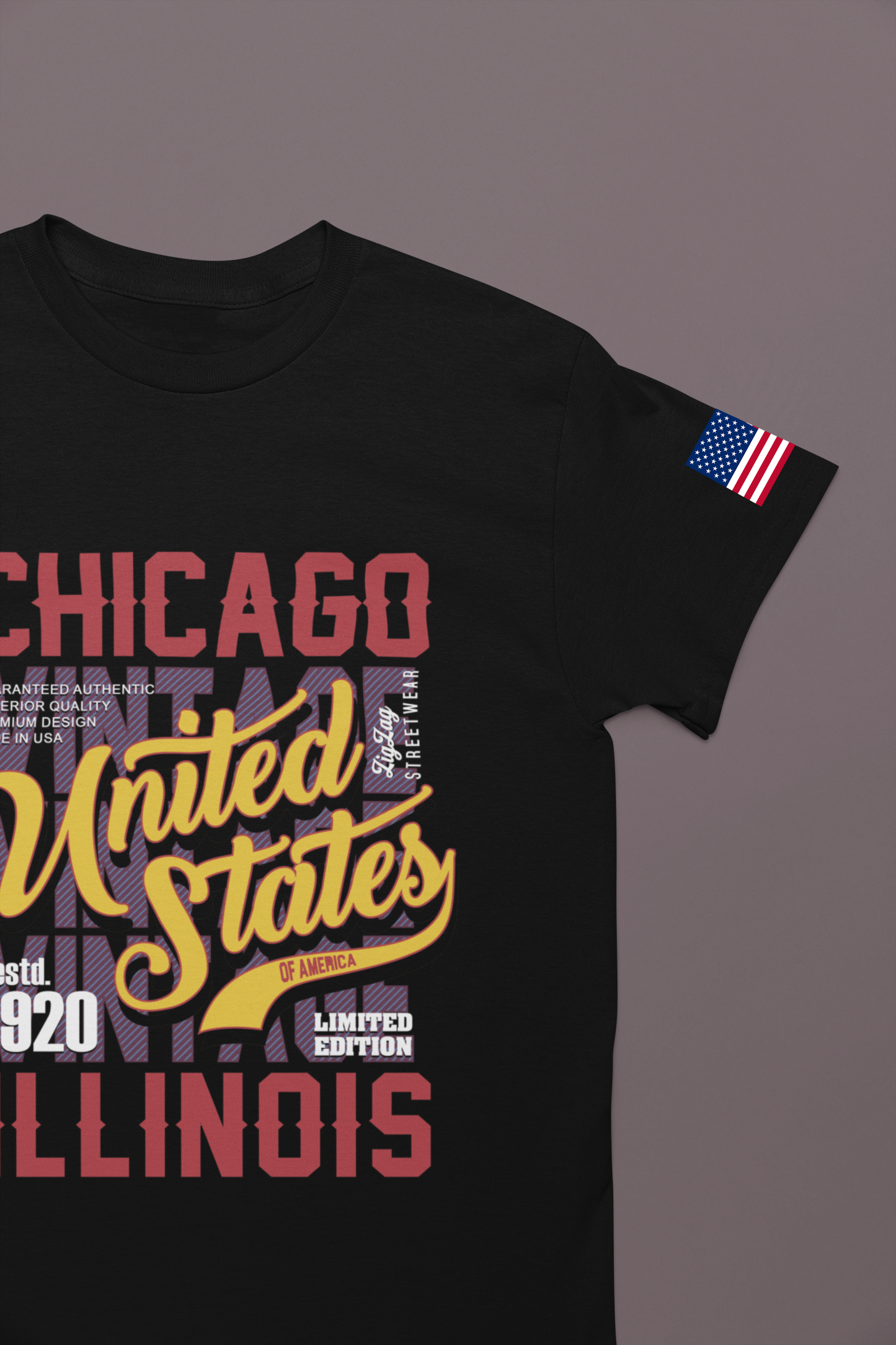 Chicago United States Illinois T-Shirt - Limited Edition 1920 Vintage Streetwear