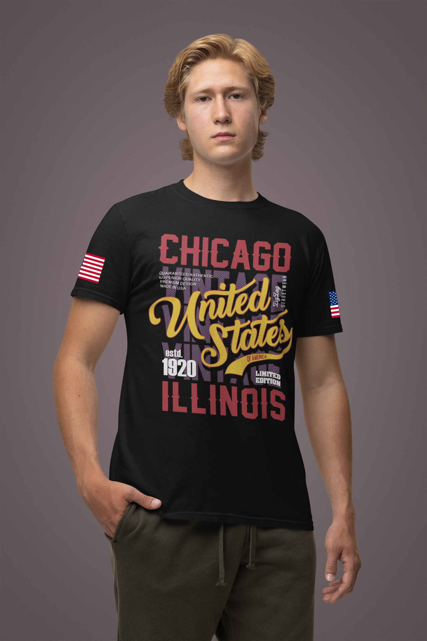 Chicago United States Illinois T-Shirt - Limited Edition 1920 Vintage Streetwear